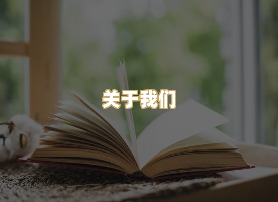 关于我们